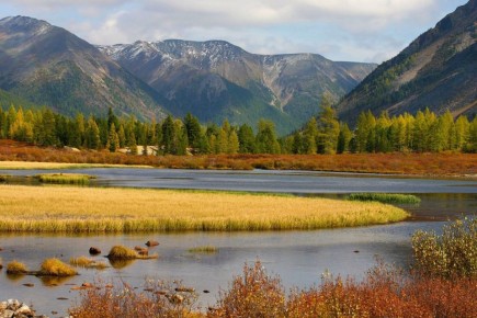 16 января школьников первой смены с 1 по 4 классы переводят на дистант