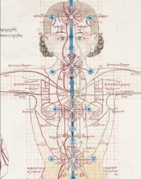 В Бурятии представили новое издание уникального «Атласа тибетской медицины»