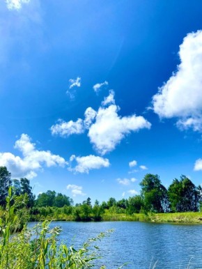 Кулинарные приключения: свежий улов и ароматные овощи