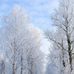 Морозное утро в Бурятии. В 7:00 утра в Баунтовском районе было -43°, в селах Окинского района от -40 до -45°