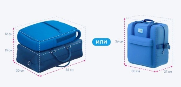 Единый размер ручной клади в самолетах хотят ввести в России