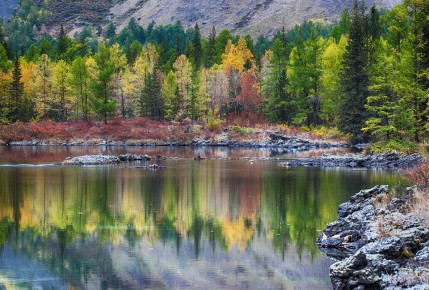 К 15-летию со дня образования Следственного комитета Российской Федерации заместитель руководителя следственного управления по Республике Бурятия Антон Владимирович Золотоев в передаче «Ваше мнение» в эфире Радио Бурятии...