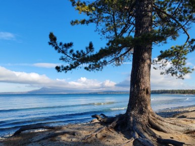 В древних водах Байкала обнаружен «затерянный мир» вирусов