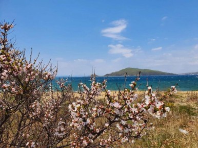 Шесть регионов Дальнего Востока вошли в топ субъектов России по росту спроса на «тихий» туризм