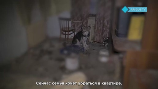 10 питомцев живут в квартире больной улан-удэнки