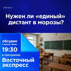 Нужен ли «единый» дистант в морозы?