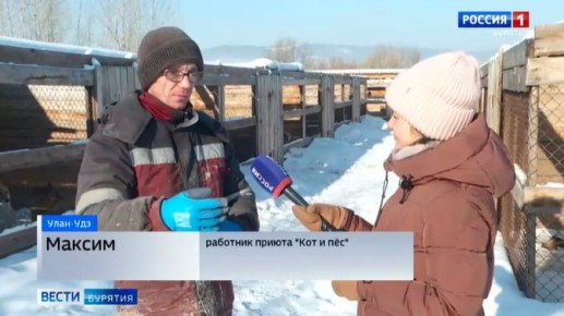 Зимой подопечным приюта "Кот и пёс" приходится особенно тяжело