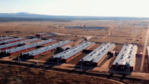 Восточно-сибирский свинокомплекс «Сибагро» – победитель Всероссийской премии «Агролидер»