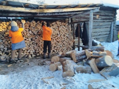 "Тигры": эстафета доброты в надёжных руках